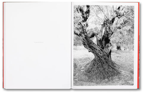 Adam Broomberg & Rafael Gonzalez: Anchor in the Landscape