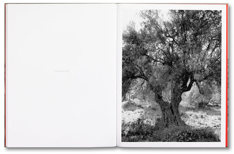 Adam Broomberg & Rafael Gonzalez: Anchor in the Landscape