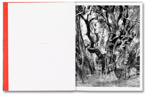 Adam Broomberg & Rafael Gonzalez: Anchor in the Landscape