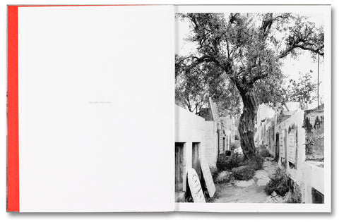 Adam Broomberg & Rafael Gonzalez: Anchor in the Landscape