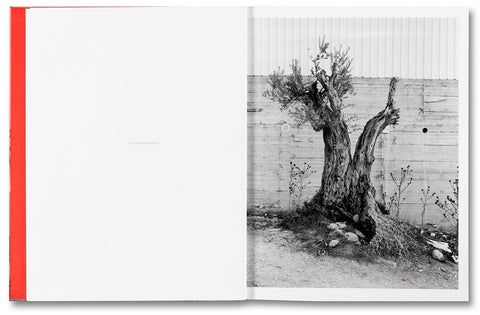 Adam Broomberg & Rafael Gonzalez: Anchor in the Landscape