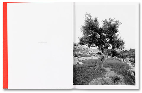 Adam Broomberg & Rafael Gonzalez: Anchor in the Landscape