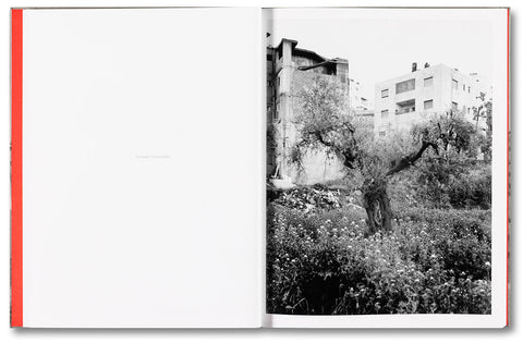 Adam Broomberg & Rafael Gonzalez: Anchor in the Landscape