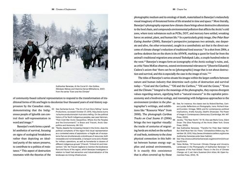 Decolonizing Nature: Contemporary Art and the Politics of Ecology