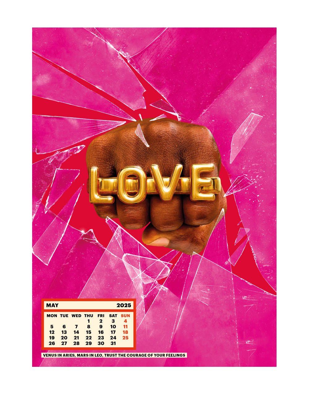 Toiletpaper Calendar 2025