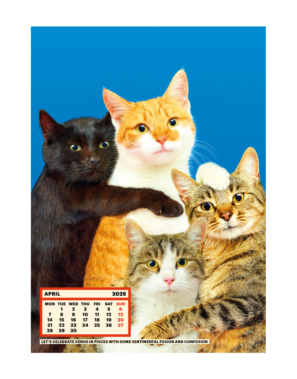 Toiletpaper Calendar 2025