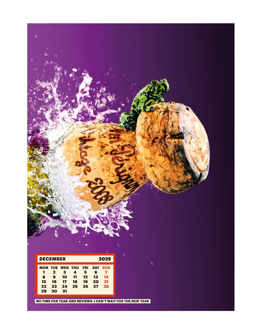 Toiletpaper Calendar 2025