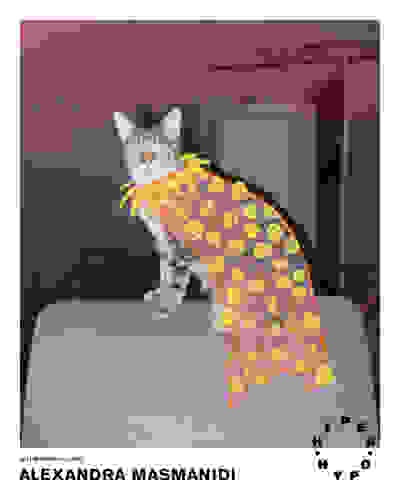 Behind the cat  - Hyper Hypo poster 081