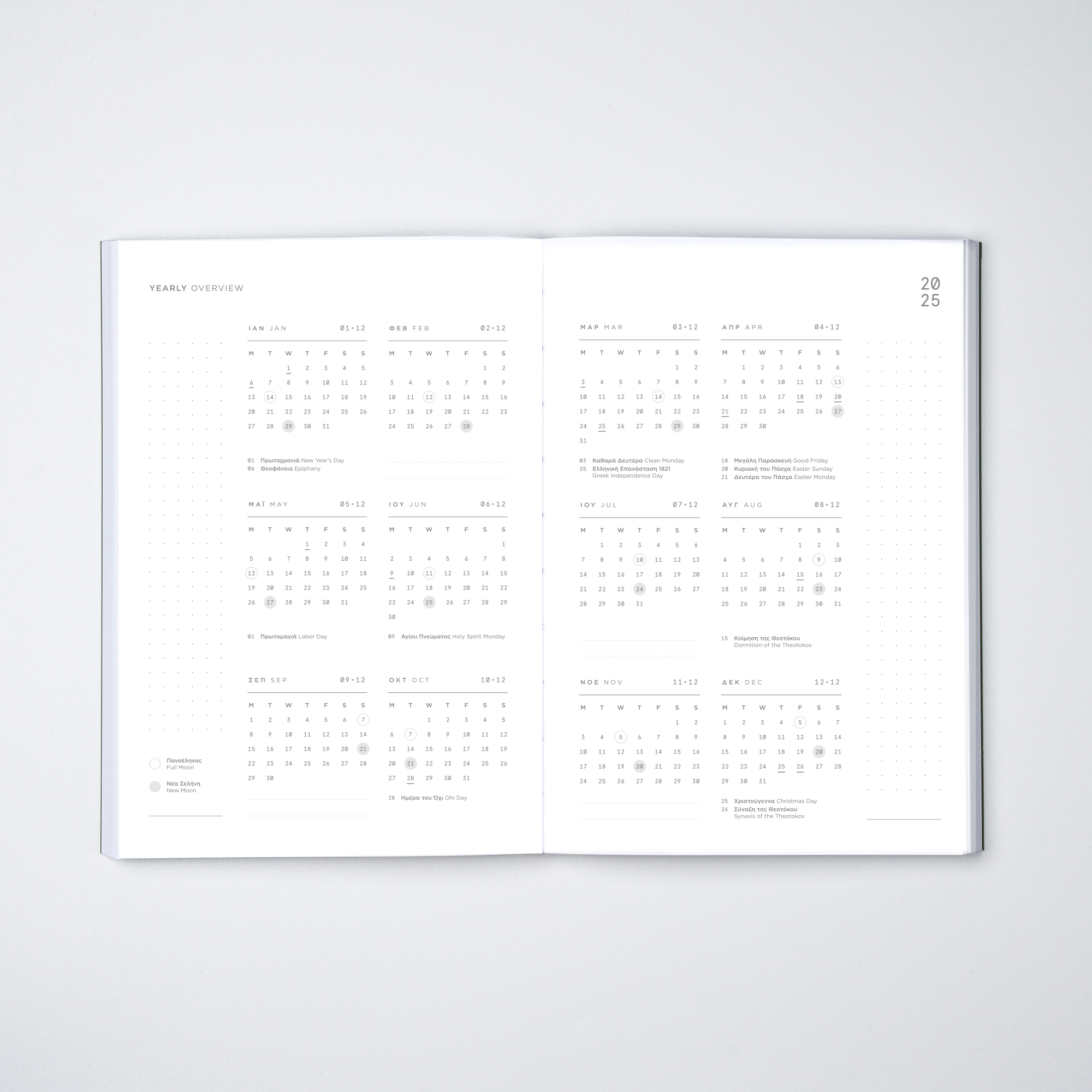 Daily Planner 2025 – Matrix Beige