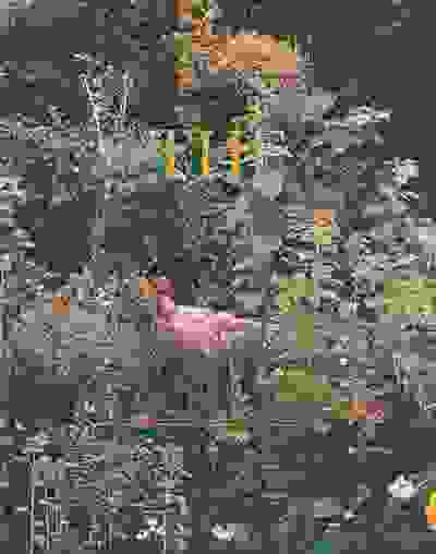 Sian Davey: The Garden