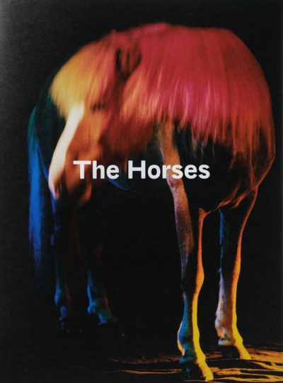Gareth McConnell: The Horses