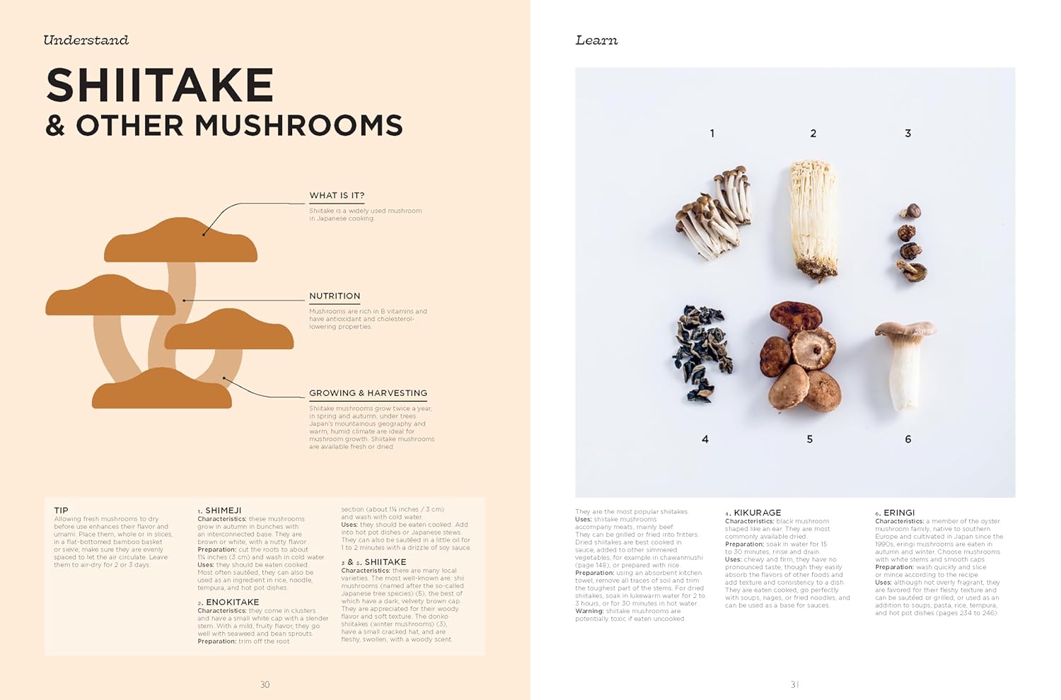 The Complete Illustrated Guide to Japanese Cooking: Techniques, Ingredients & Recipes