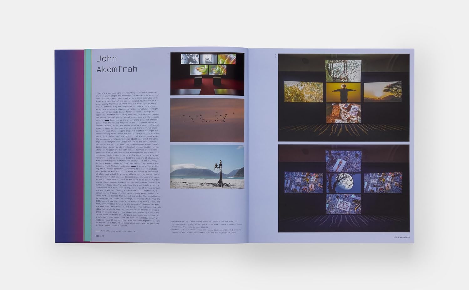 Vitamin V: Video and the Moving Image in Contemporary Art