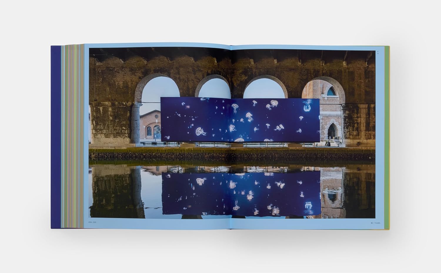 Vitamin V: Video and the Moving Image in Contemporary Art
