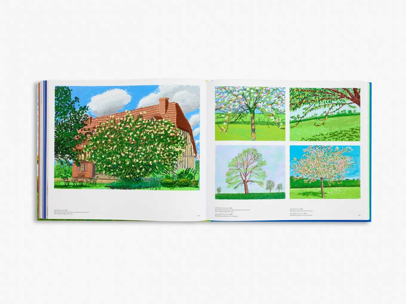 David Hockney