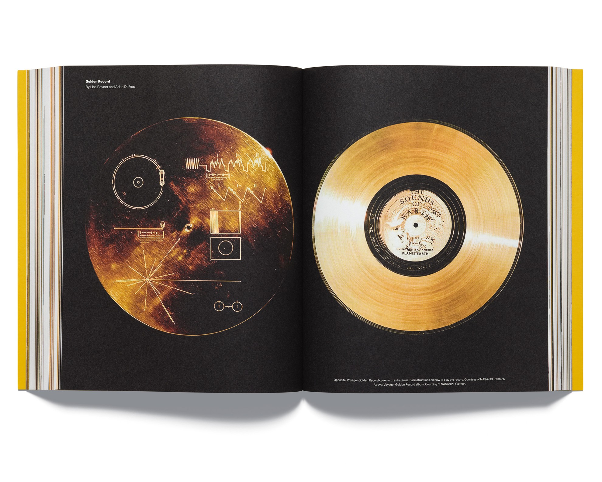 Acne Paper #20: Golden