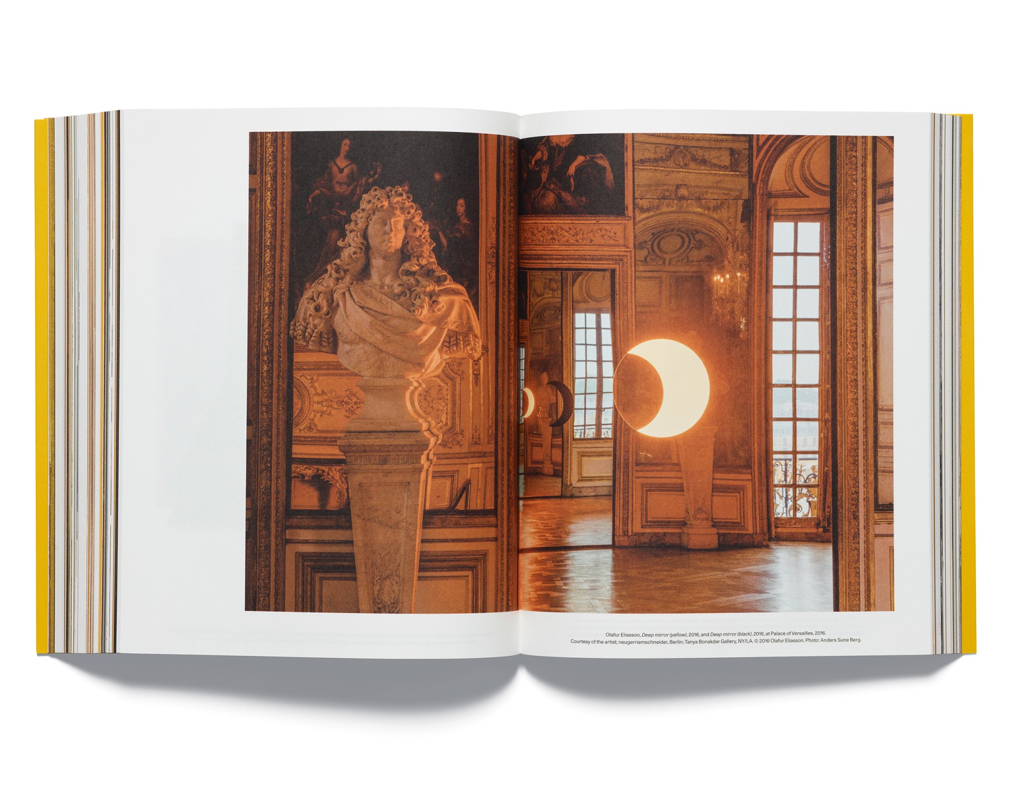 Acne Paper #20: Golden