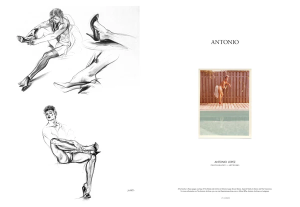 Candy Transversal #15