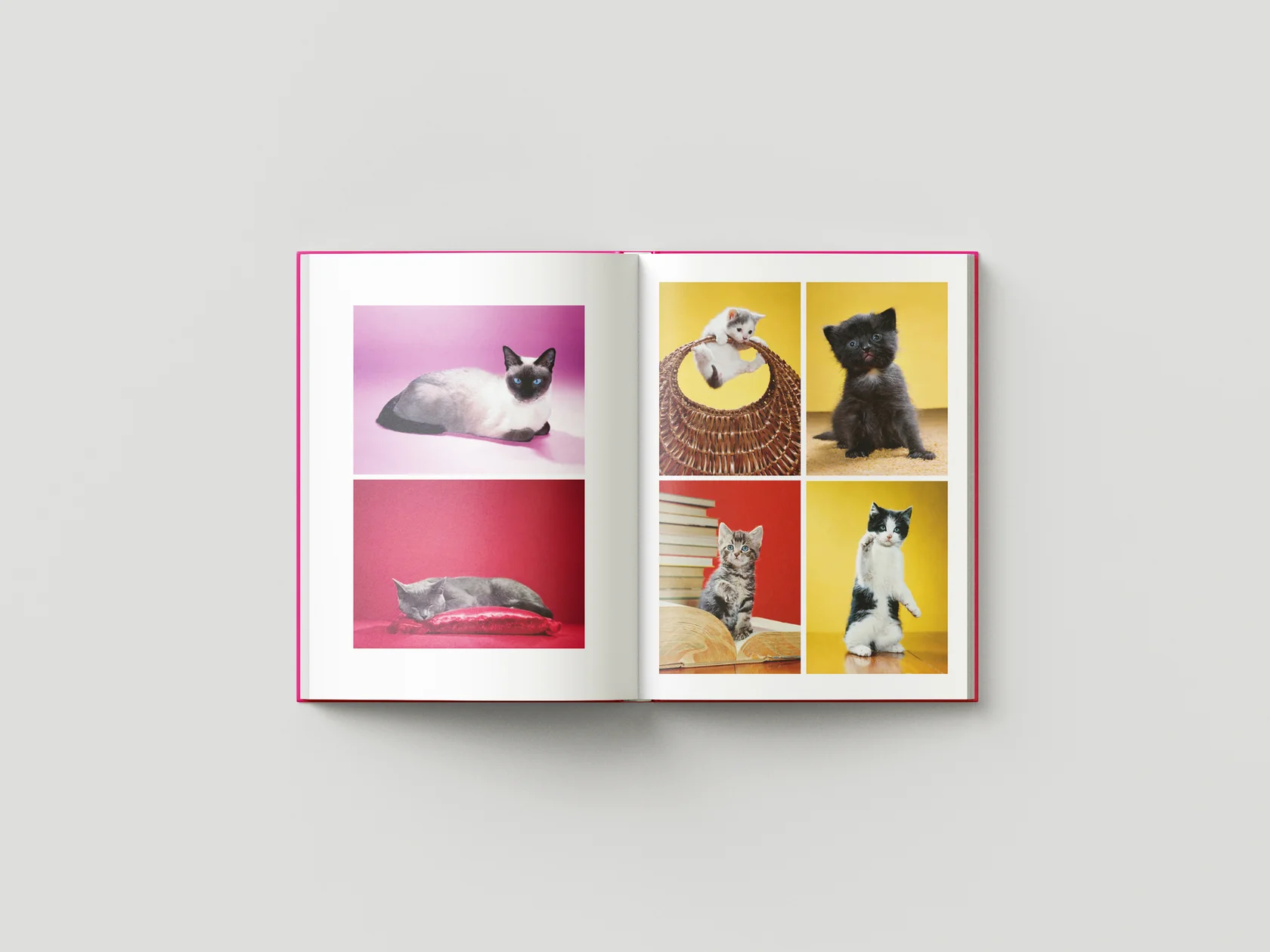 Chromotherapia: Feel-Good Color Photography