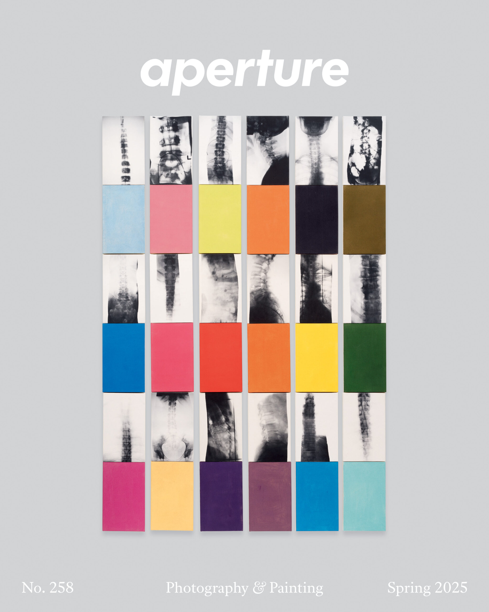 Aperture #258: Photography & Painting