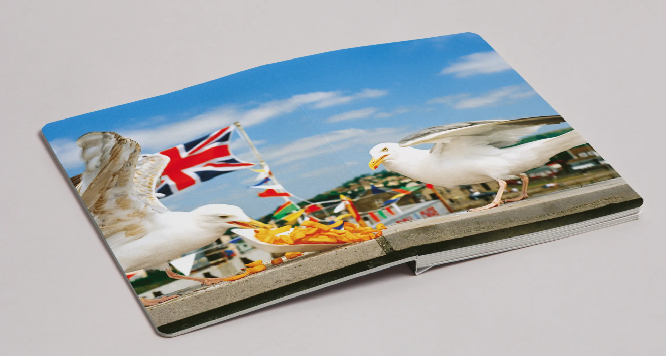Martin Parr: Animals