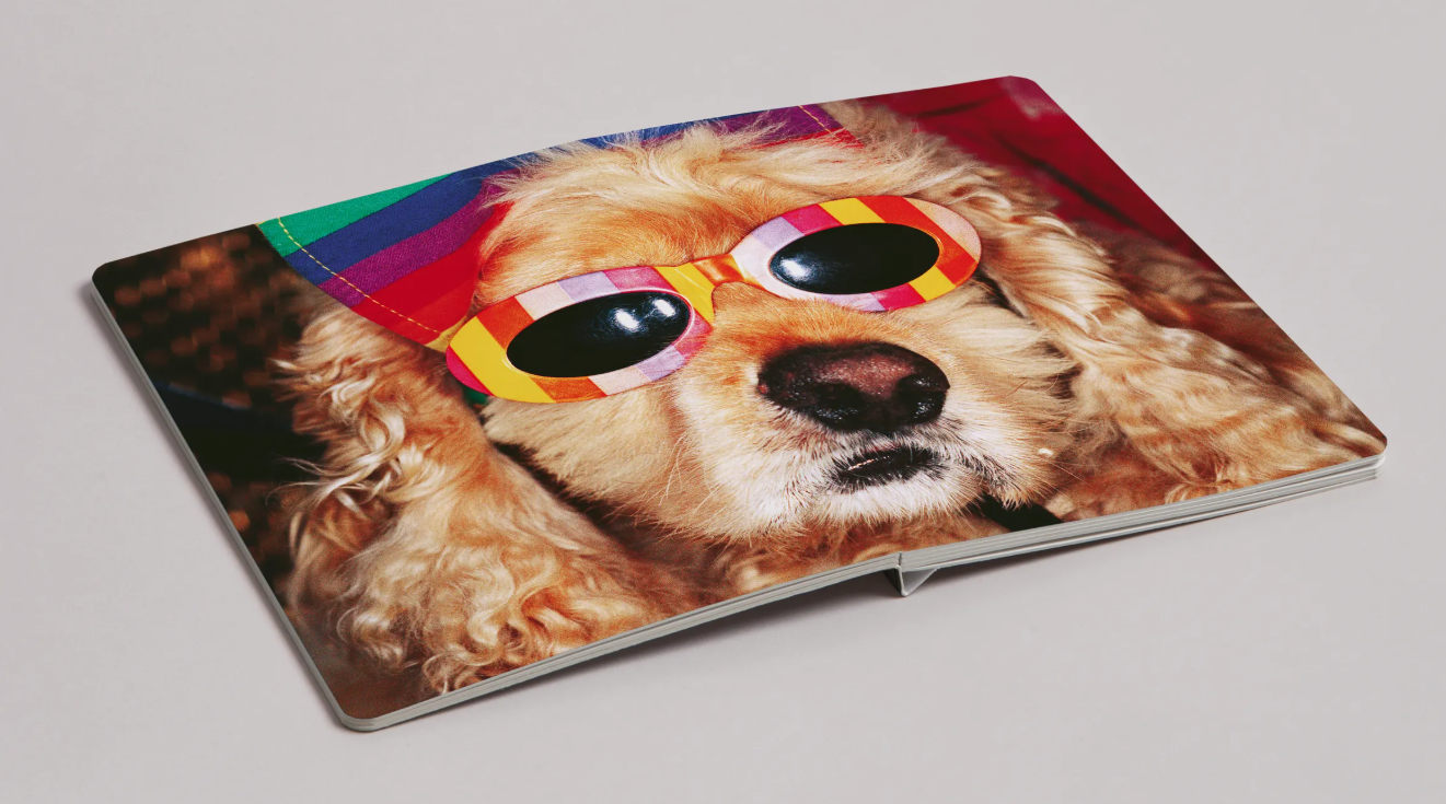 Martin Parr: Animals