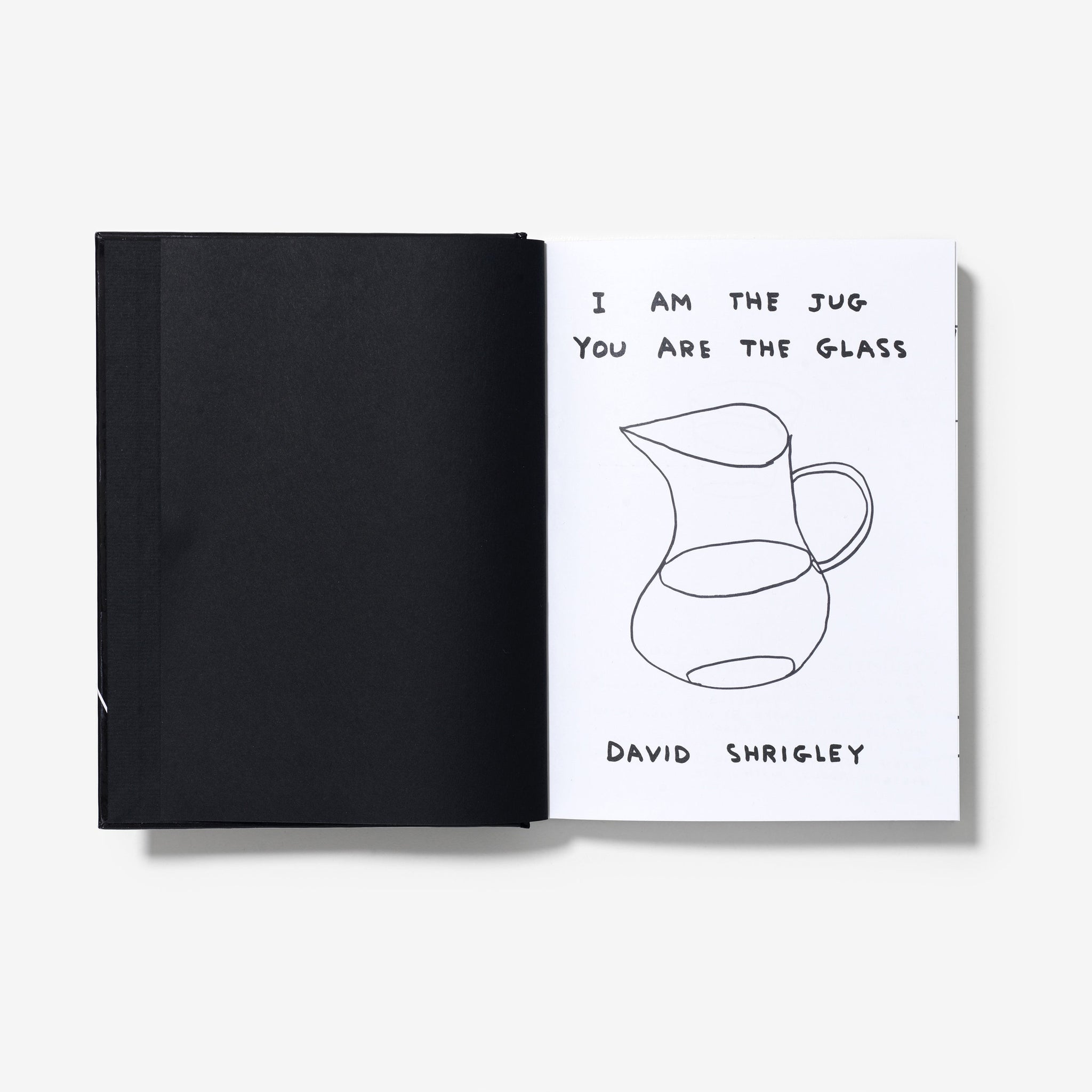 David Shrigley: I Am The Jug You Are The Glass