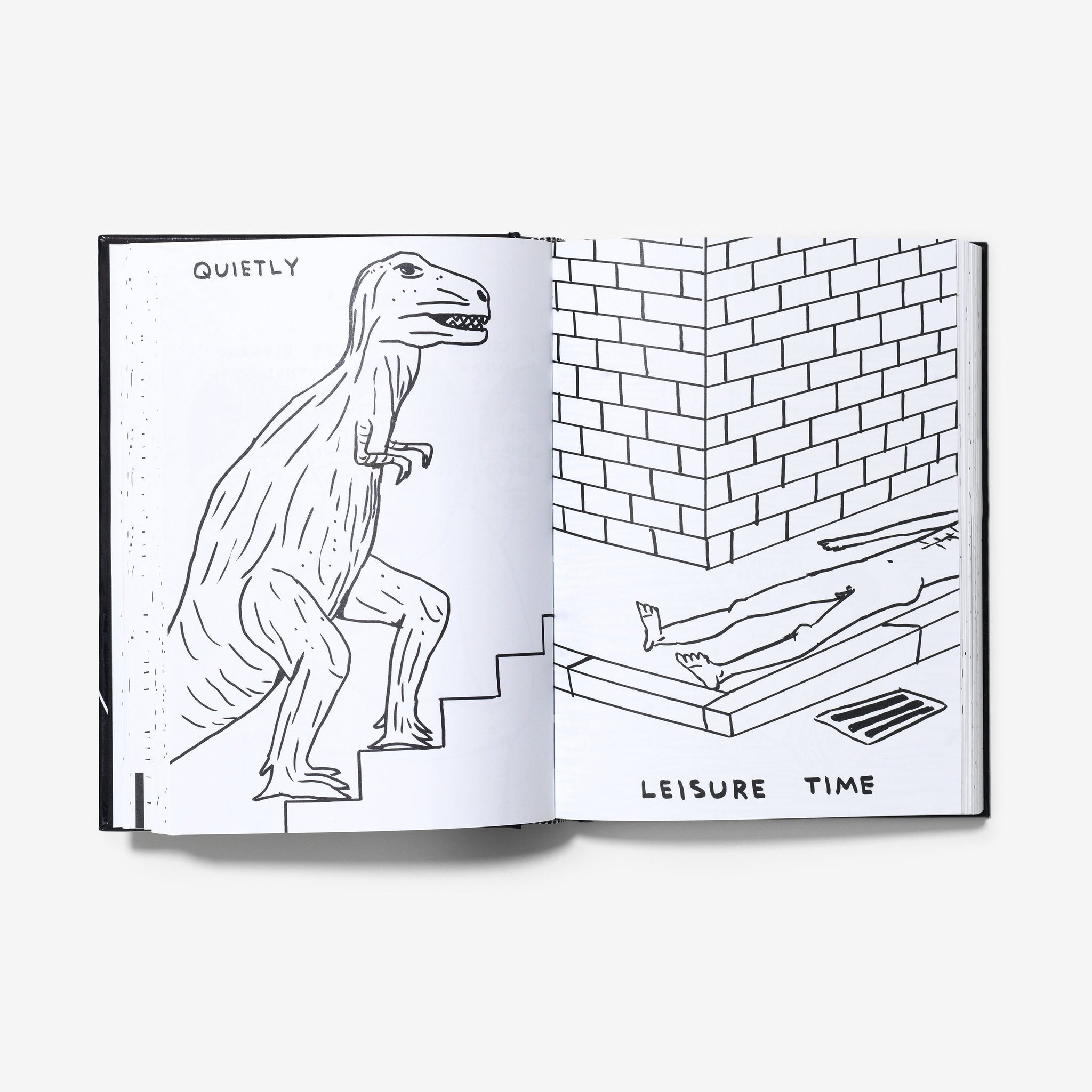 David Shrigley: I Am The Jug You Are The Glass