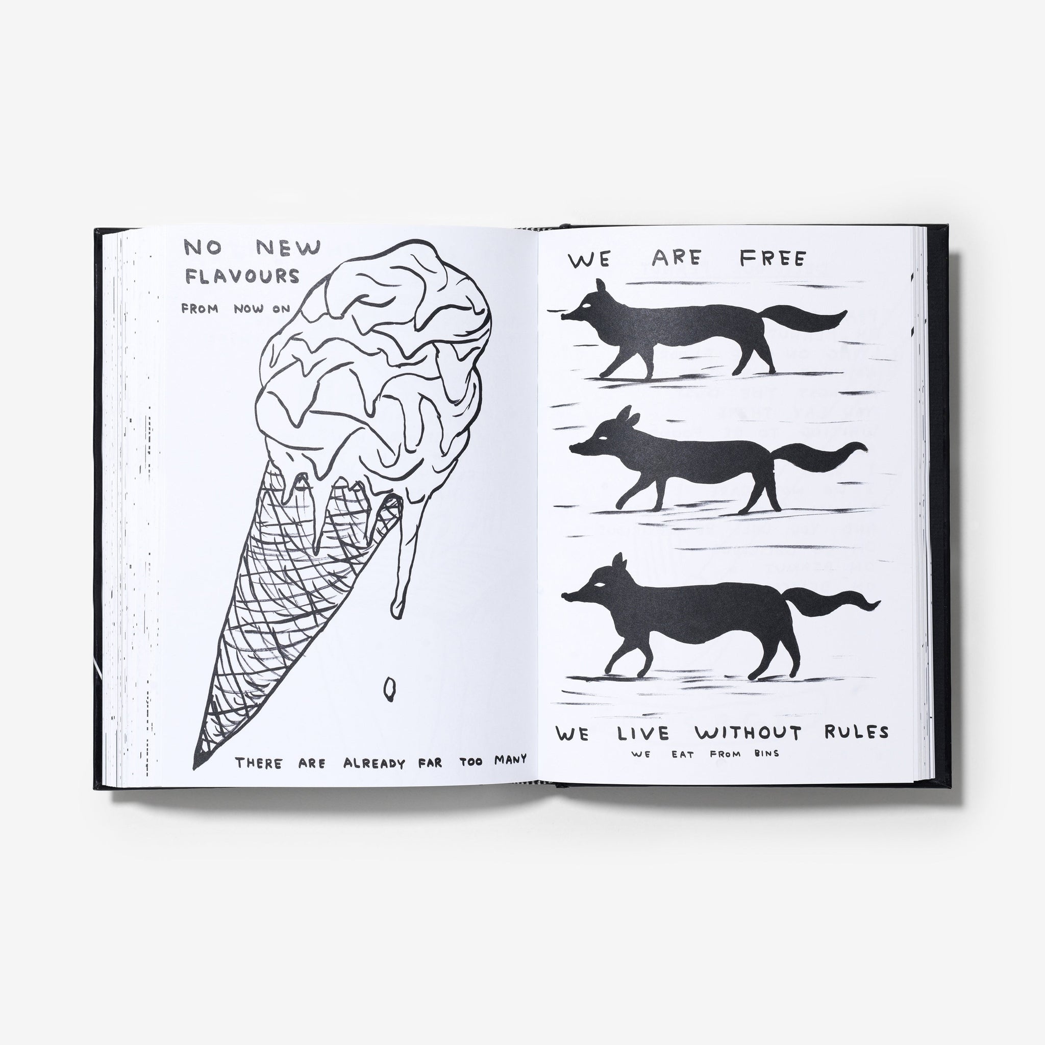 David Shrigley: I Am The Jug You Are The Glass