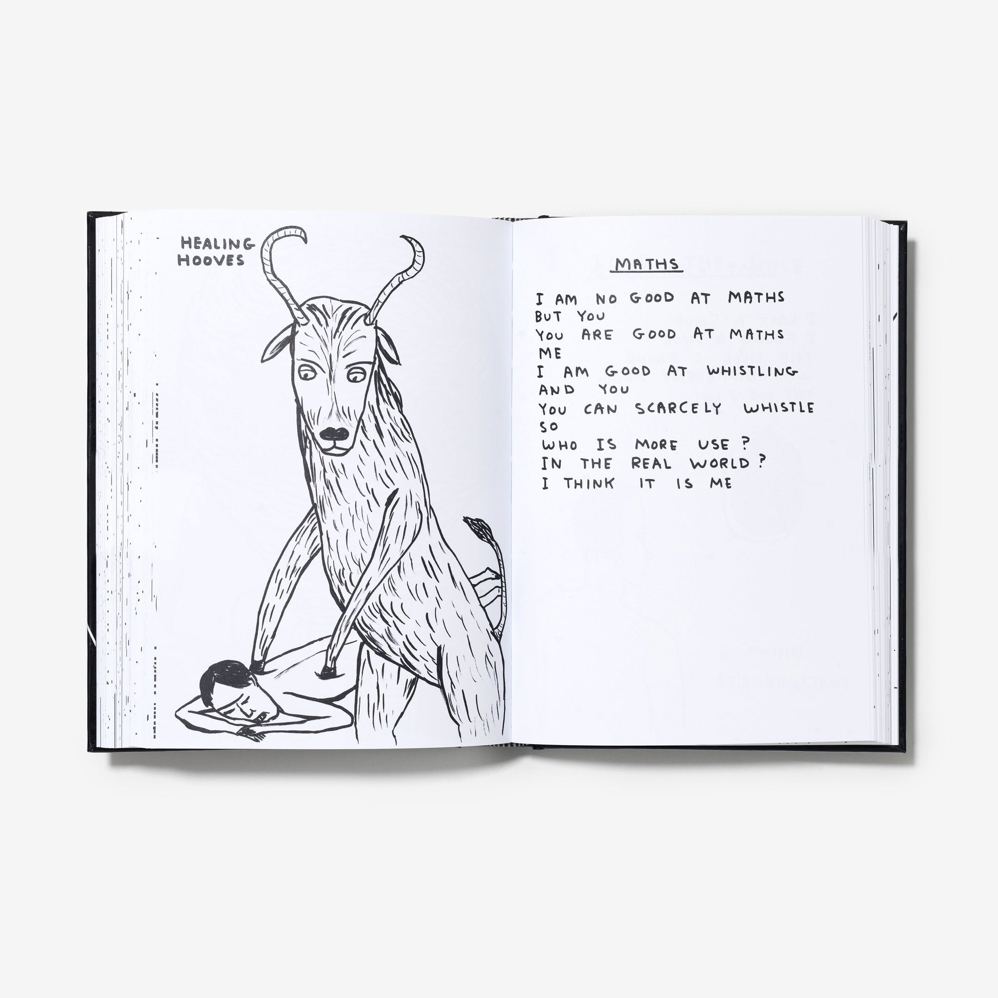David Shrigley: I Am The Jug You Are The Glass