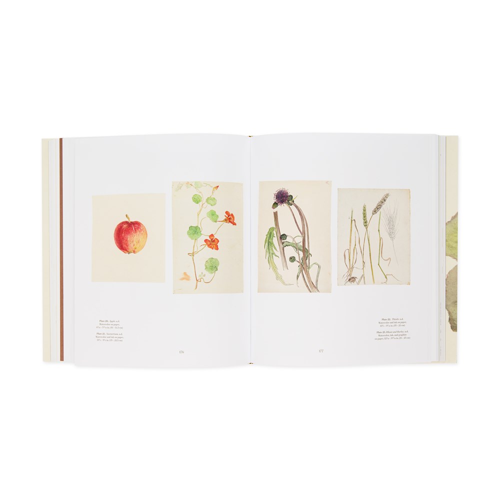 Hilma af Klint: What Stands Behind the Flowers