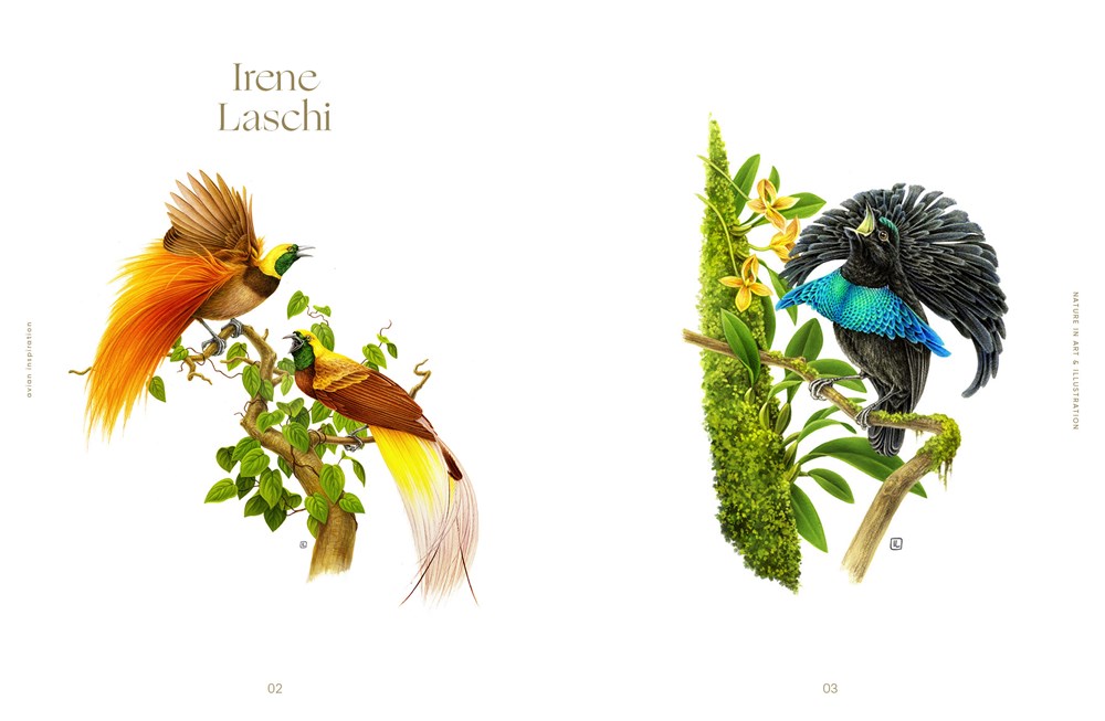 Avian Inspiration: Art and Design Inspired by Birds