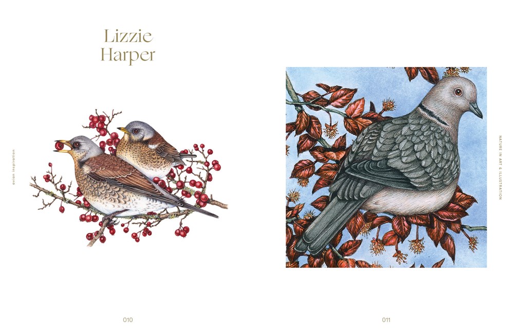 Avian Inspiration: Art and Design Inspired by Birds