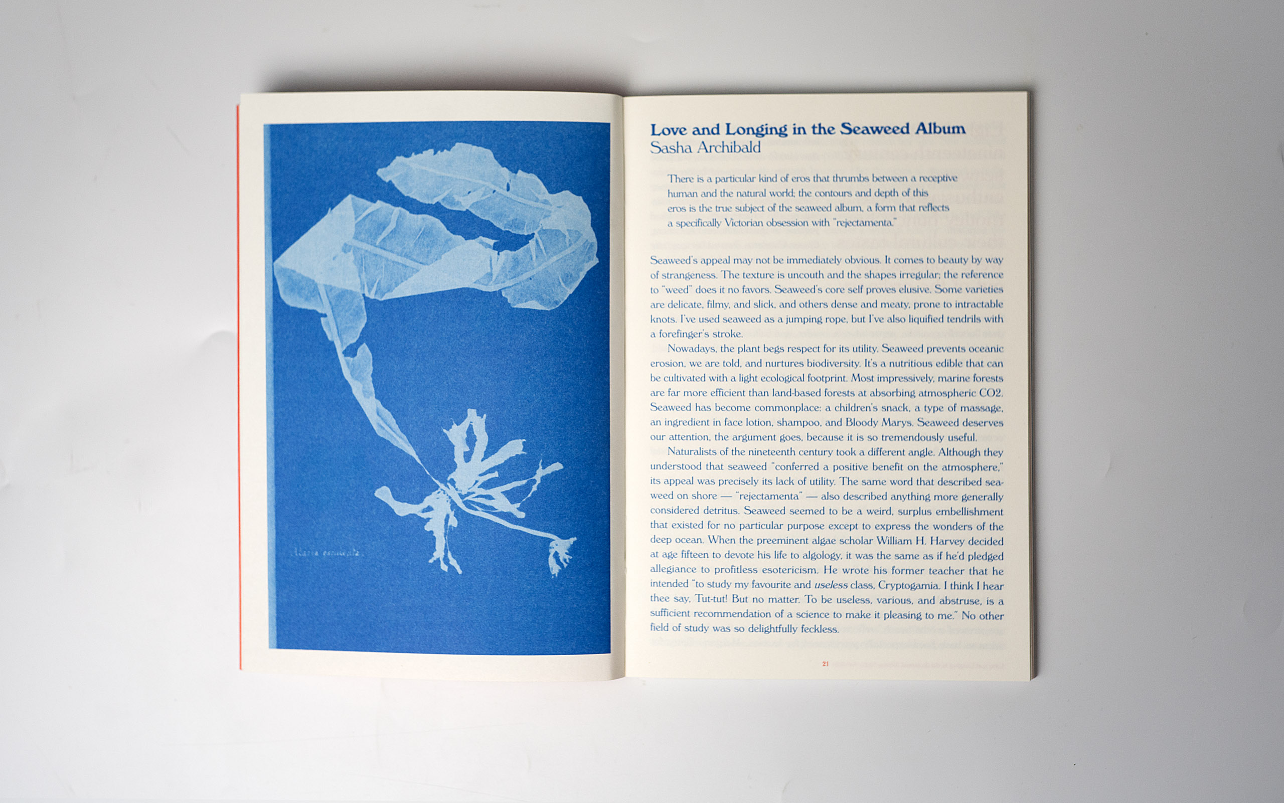 Glotta: On monsters, coastlines and desire