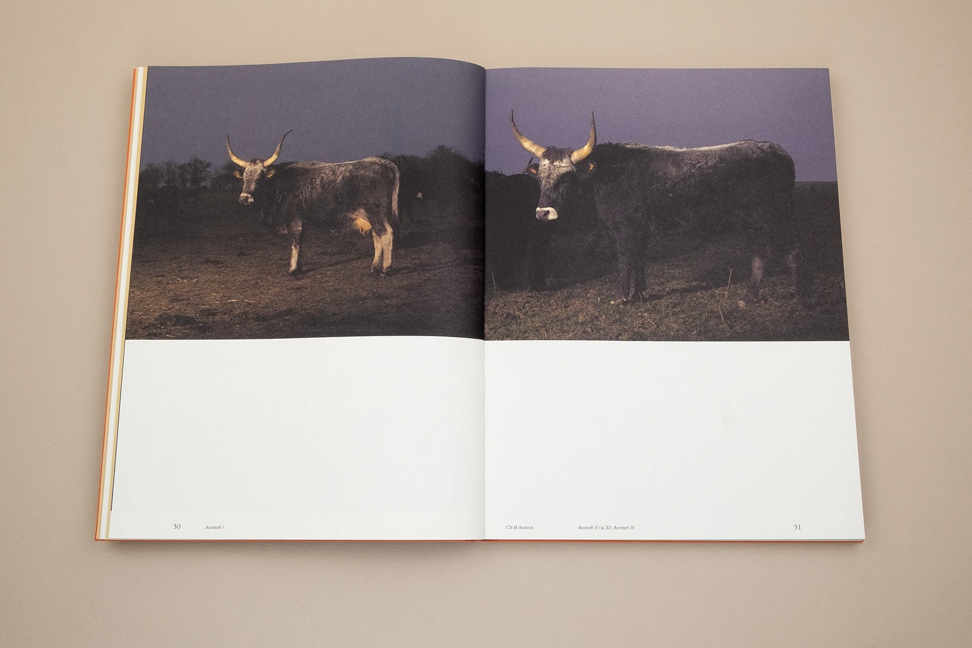 Floating Signifiers: Case studies on image, origin and representation
