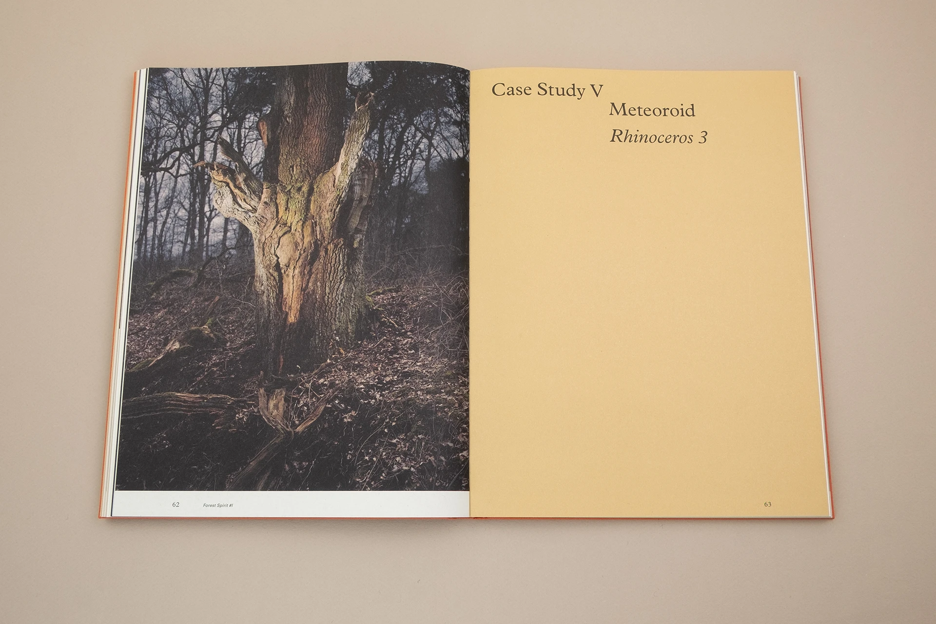 Floating Signifiers: Case studies on image, origin and representation