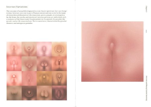 Atlas of Queer Anatomy