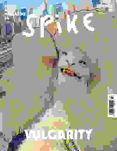 Spike #84: Vulgarity