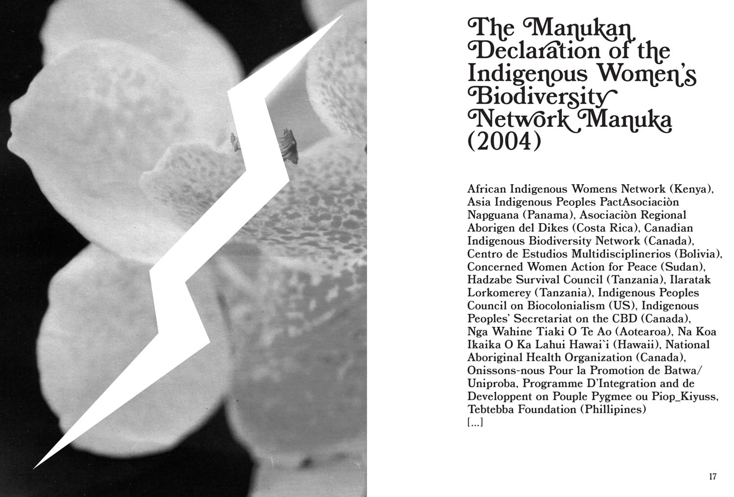 Love & Lightning: A Collection of Queer and Feminist Manifestos