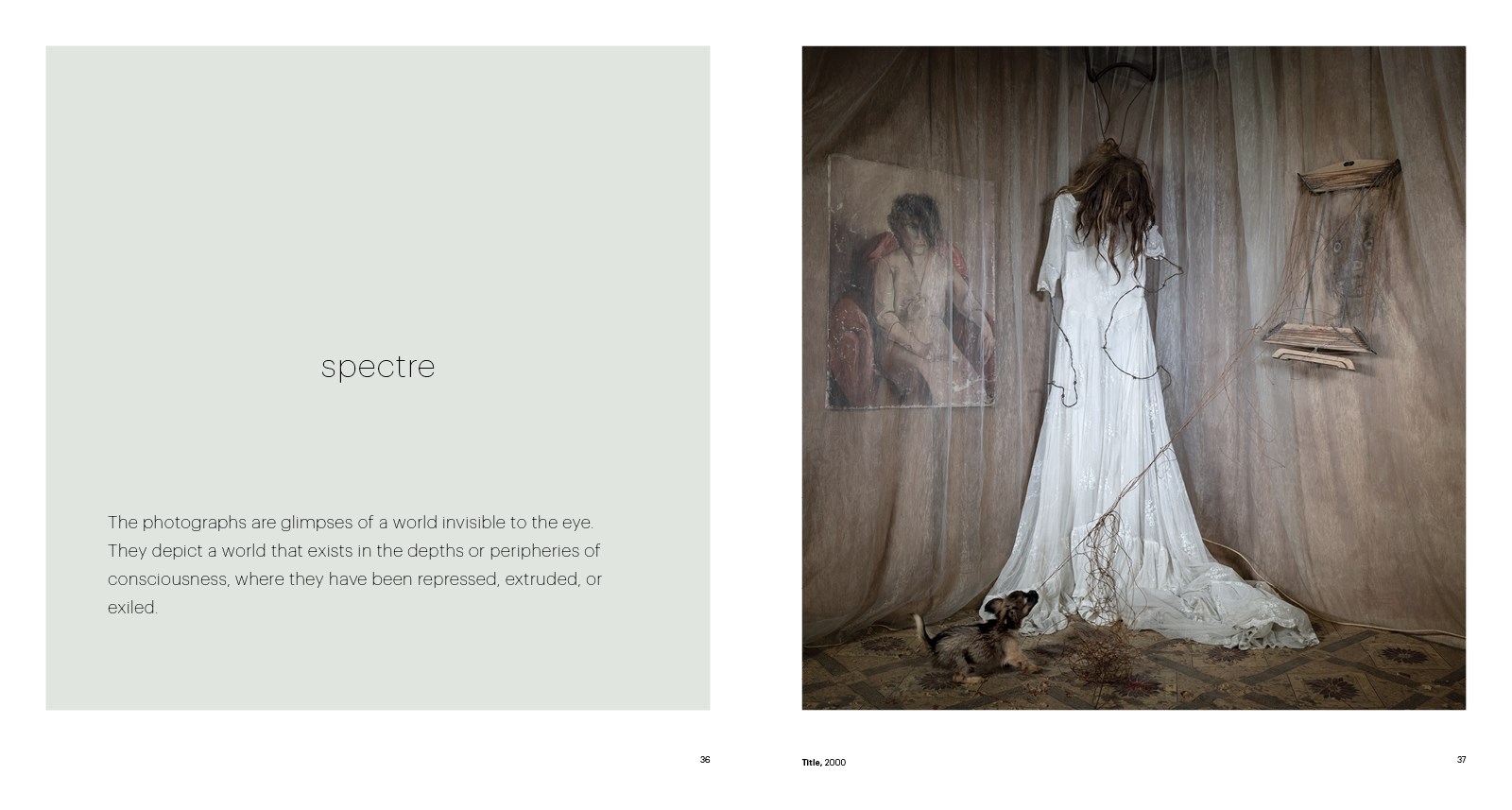 Roger Ballen: Spirits and Spaces