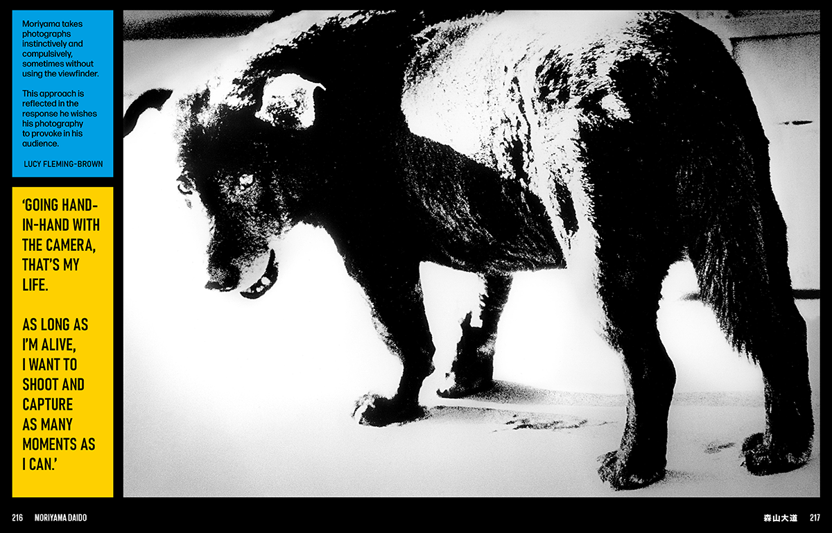 Japan Art Revolution: The Japanese Avant-Garde, from Angura to Provoke