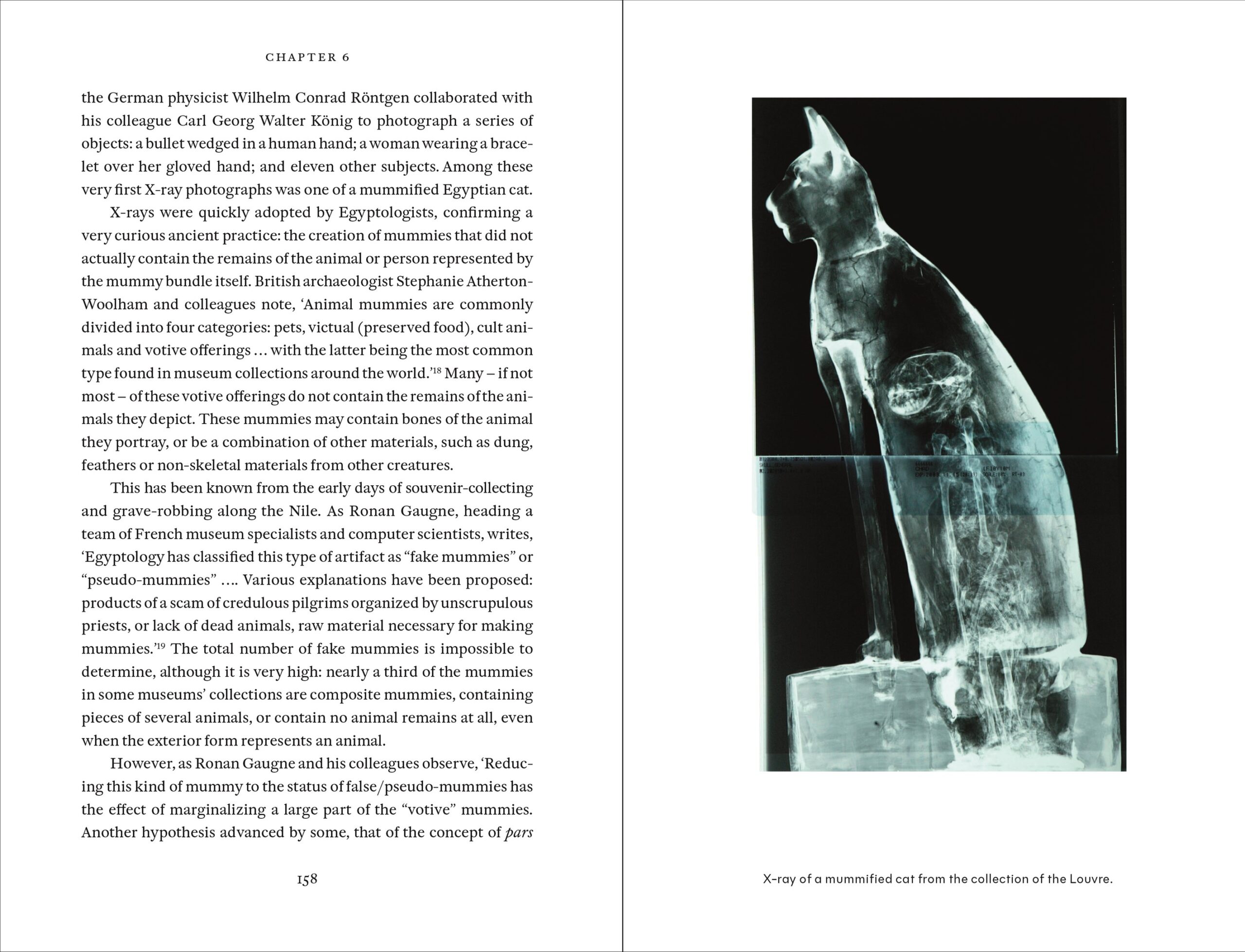 Cat Tales: A History