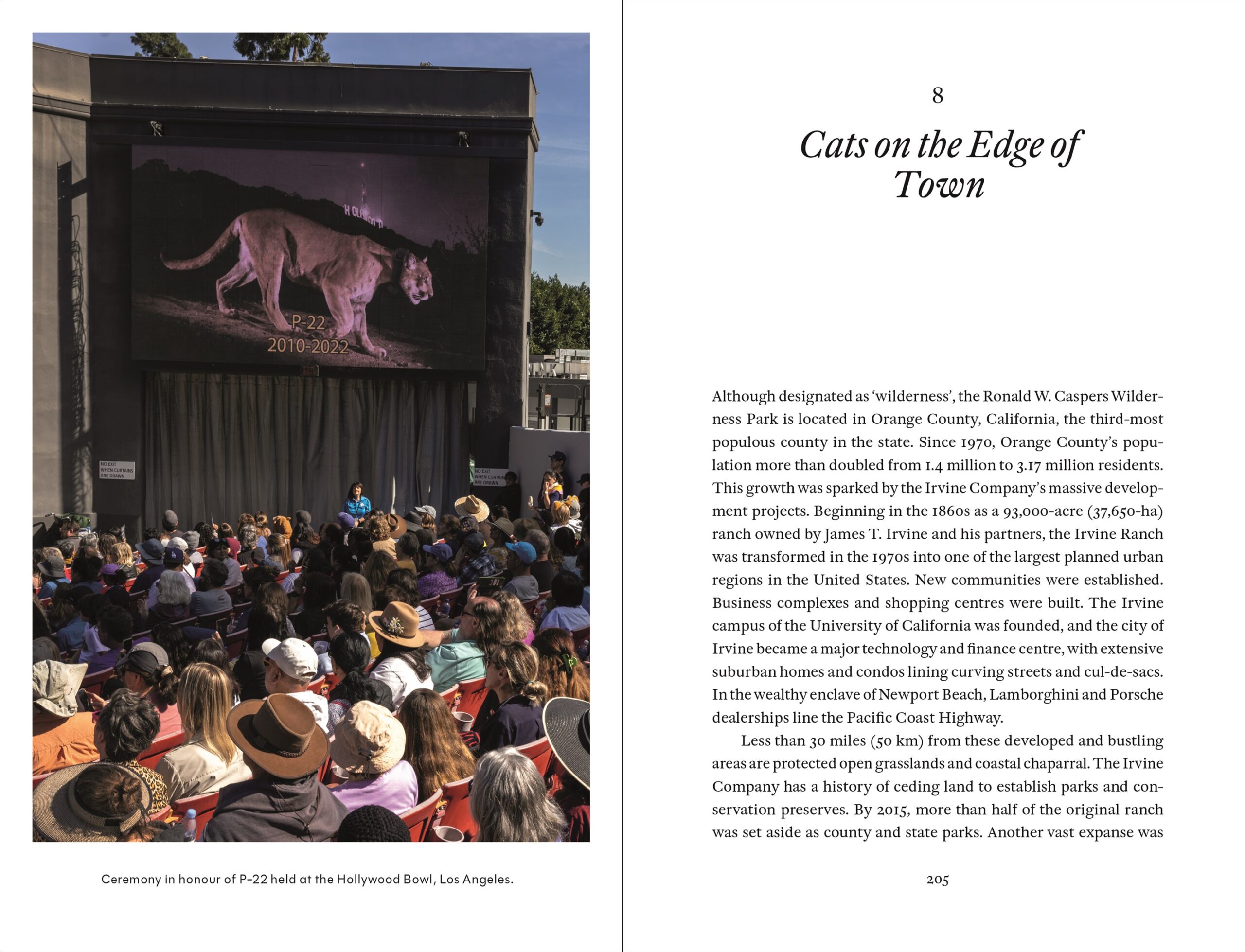 Cat Tales: A History