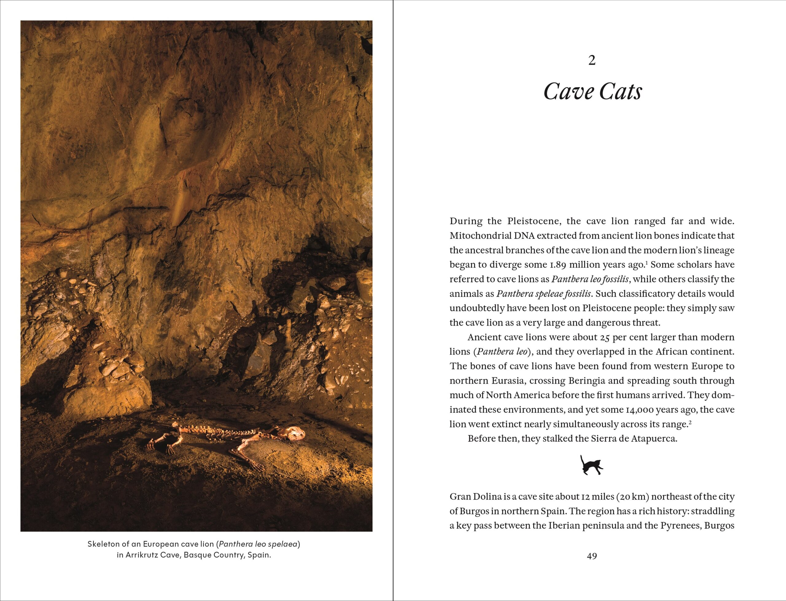 Cat Tales: A History