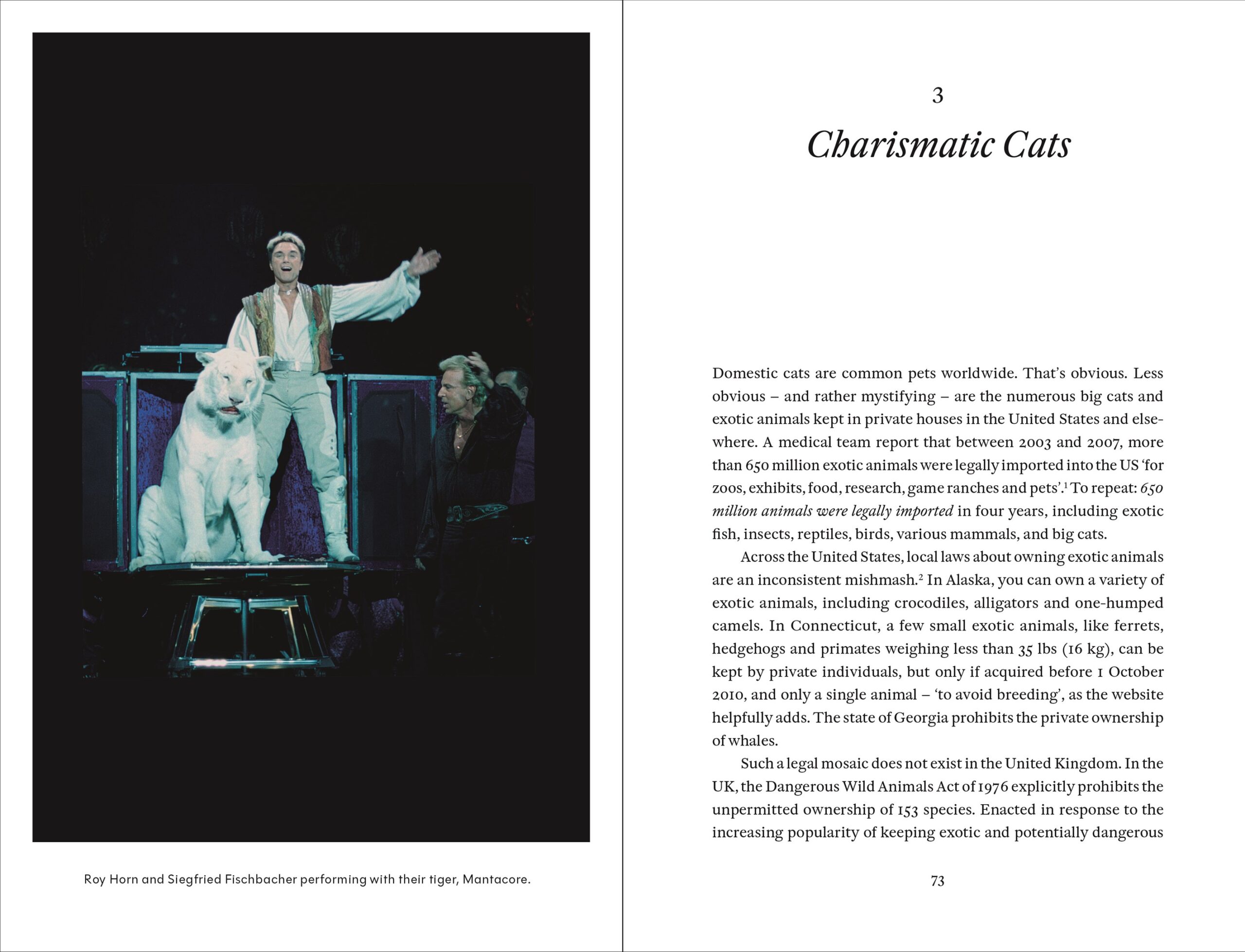 Cat Tales: A History