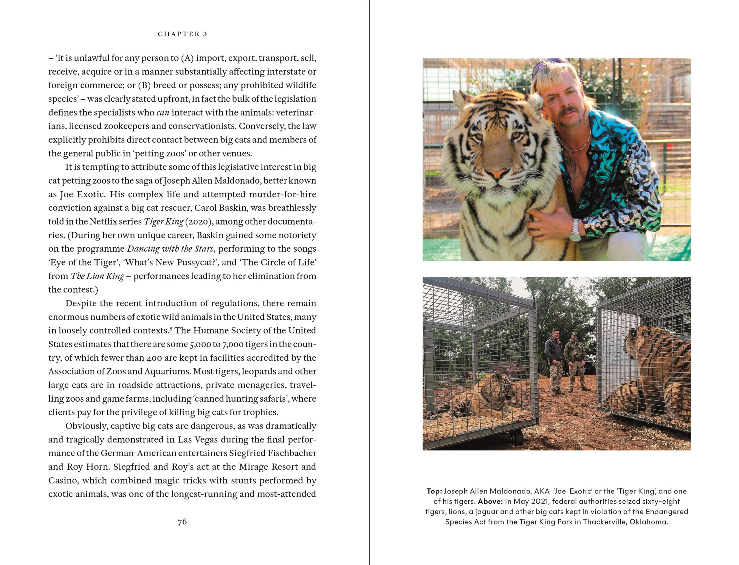 Cat Tales: A History