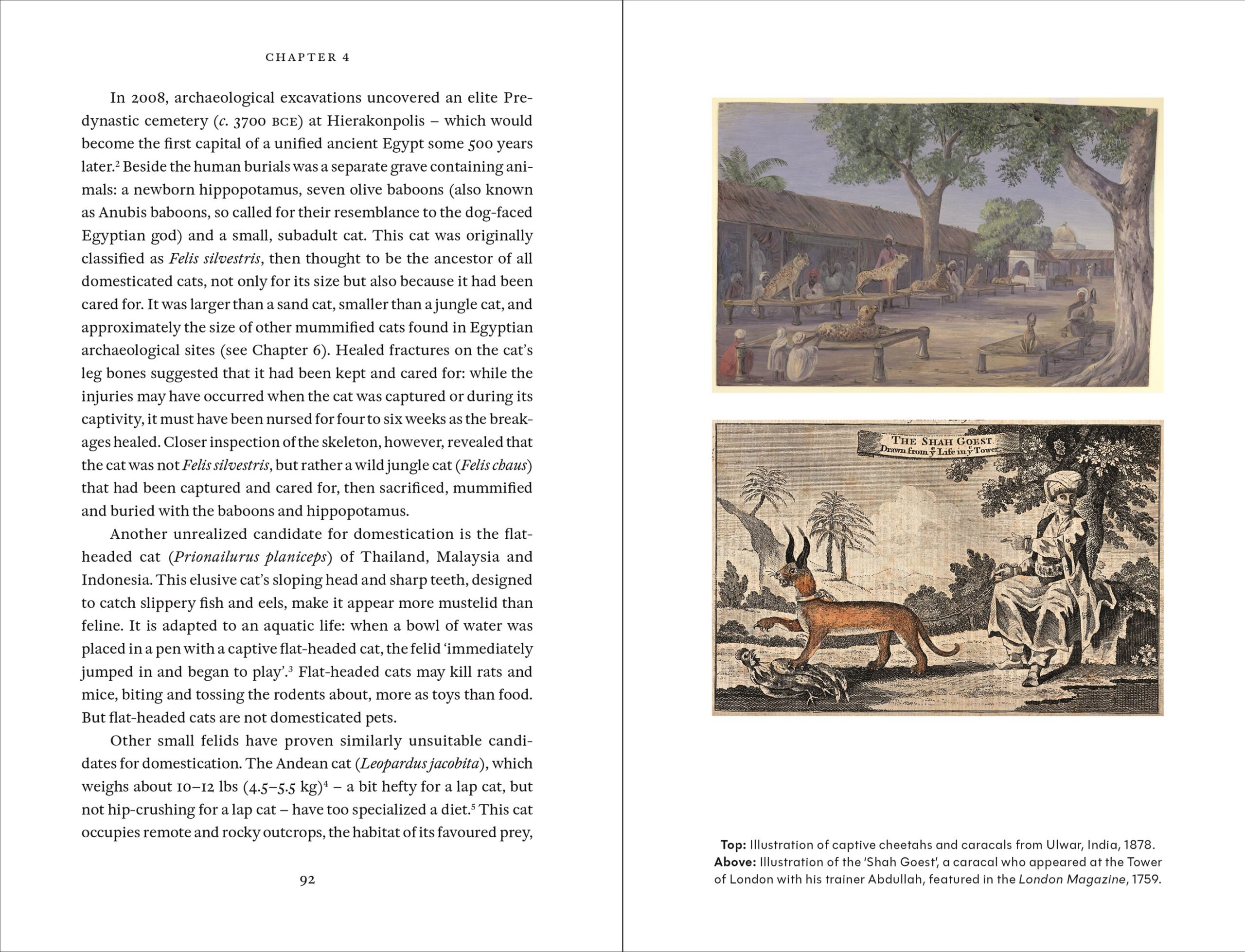 Cat Tales: A History