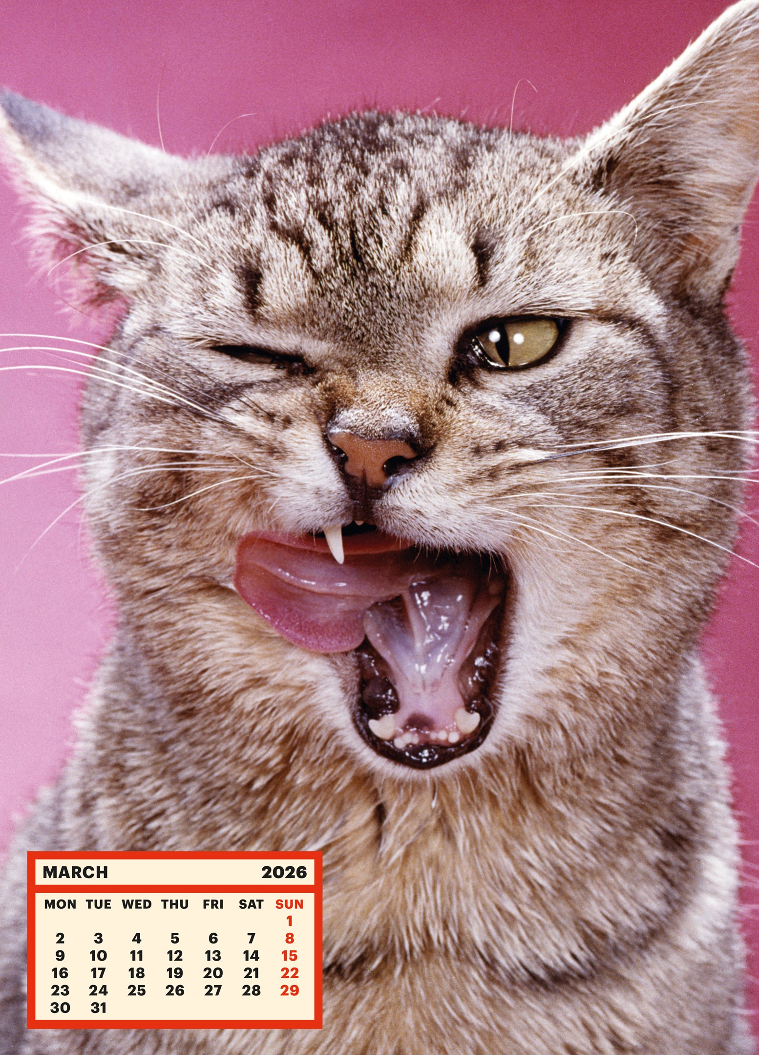 ToiletWalter PaperChandoha Calendar 2026