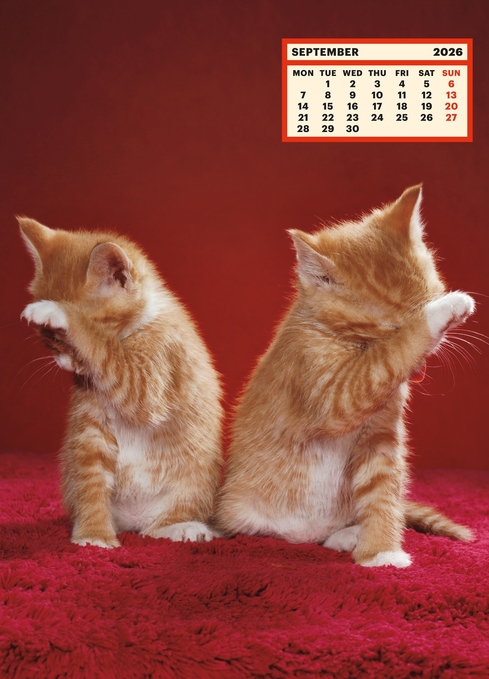 ToiletWalter PaperChandoha Calendar 2026