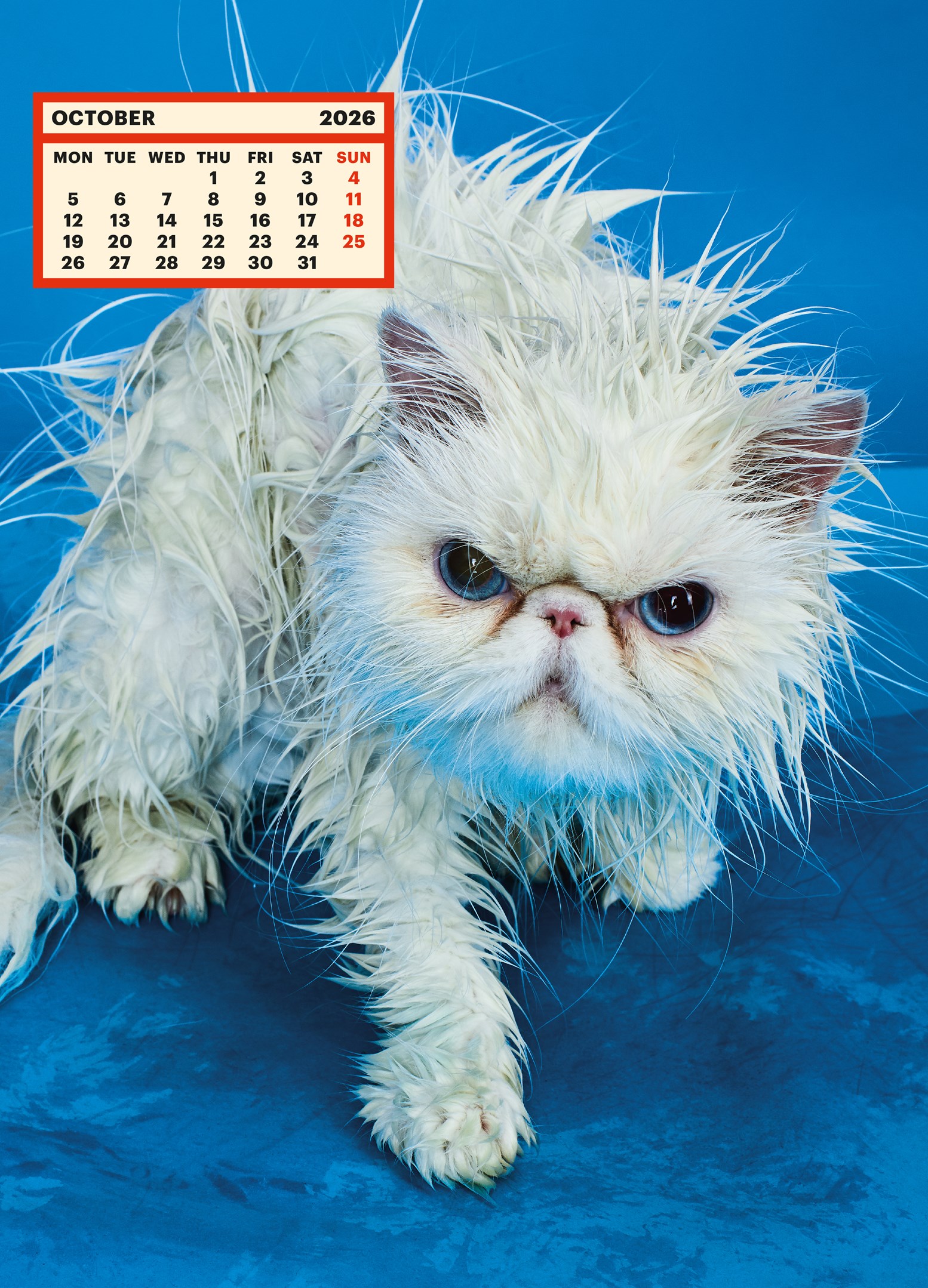 ToiletWalter PaperChandoha Calendar 2026